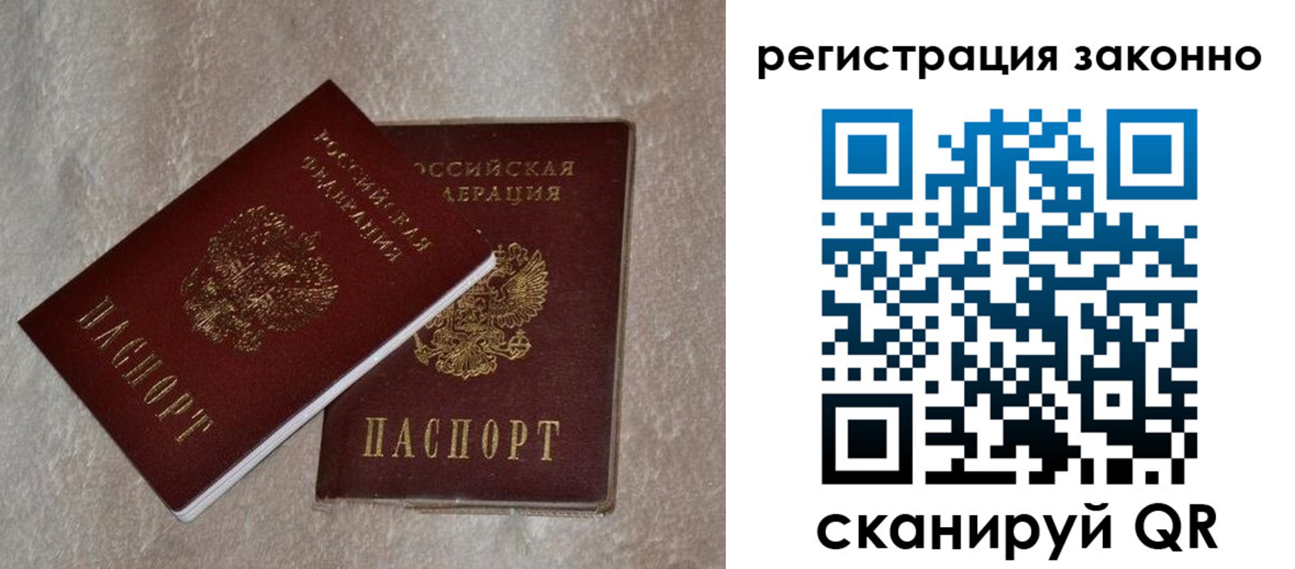 прописка законно в Елабуге